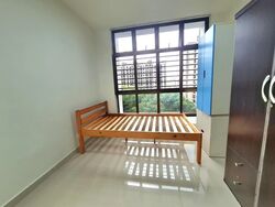 Blk 470 Segar Gardens (Bukit Panjang), HDB Executive #519000201